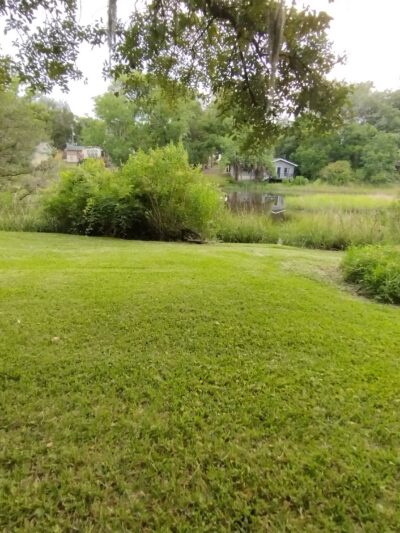 Creekside Canines - Jacksonville, FL