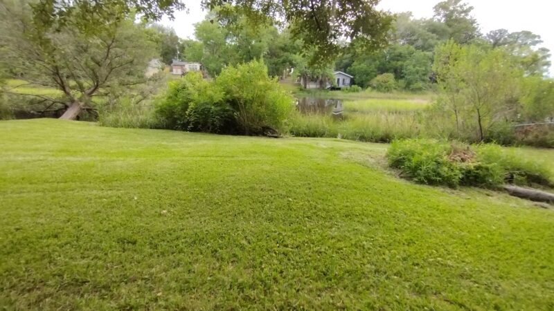 Creekside Canines - Jacksonville, FL