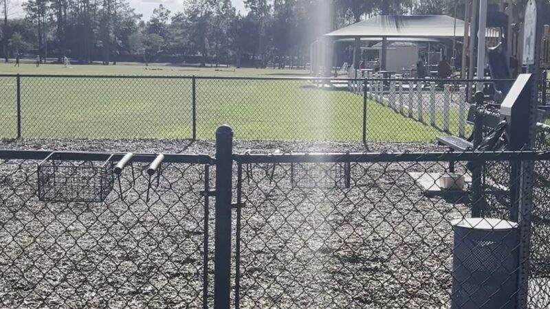 Dog Park - Jacksonville, FL