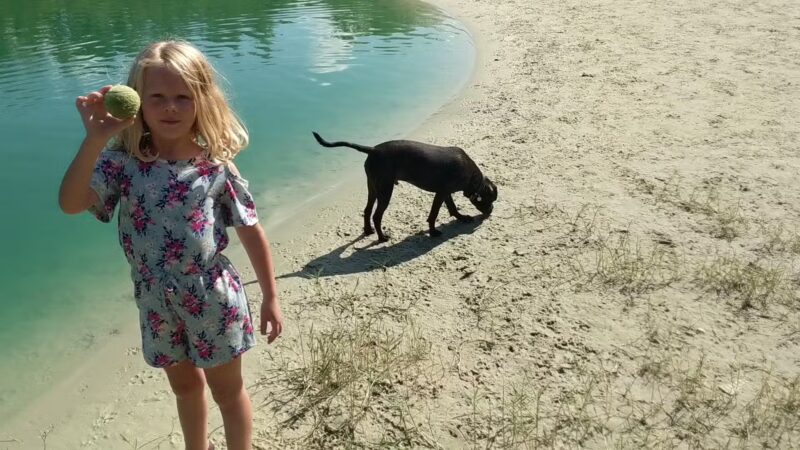 Dog Wood Park of Jacksonville - Jacksonville, FL