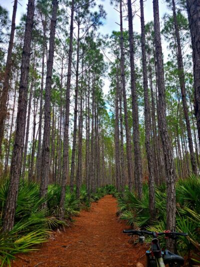 Edwards Creek Trailhead - Jacksonville, FL