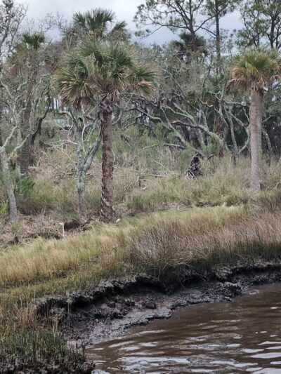 Edwards Creek Trailhead - Jacksonville, FL
