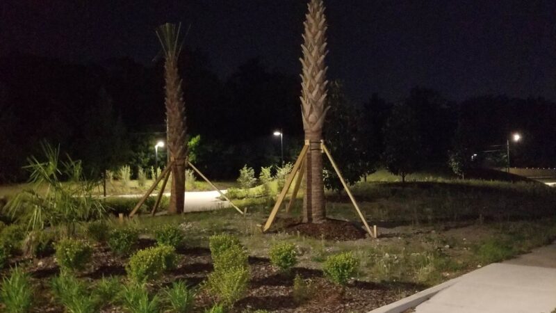 Freedom Park - Jacksonville, FL