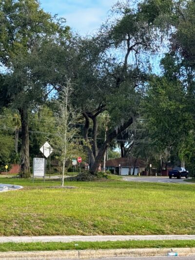 Freedom Park - Jacksonville, FL