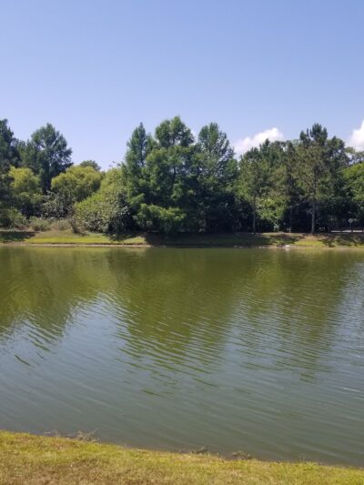 Hollybrook Park - Jacksonville, FL