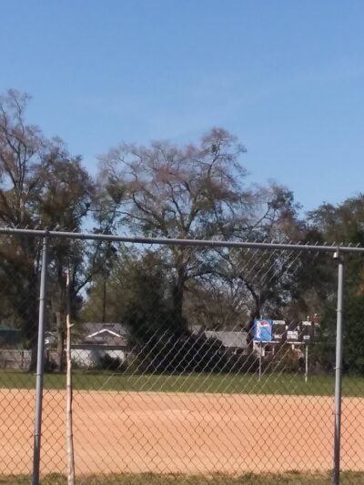 Lakeshore Park - Jacksonville, FL