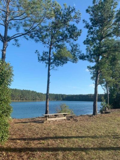 Lea Loop Trailhead - Jacksonville, FL