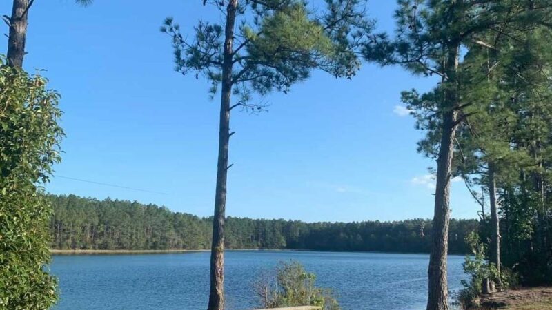 Lea Loop Trailhead - Jacksonville, FL