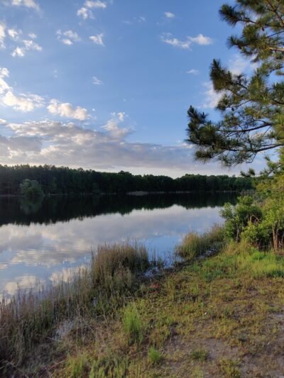 Lea Loop Trailhead - Jacksonville, FL