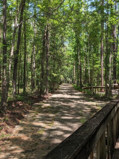 Tillie Fowler Park Loop Trailhead - Jacksonville, FL
