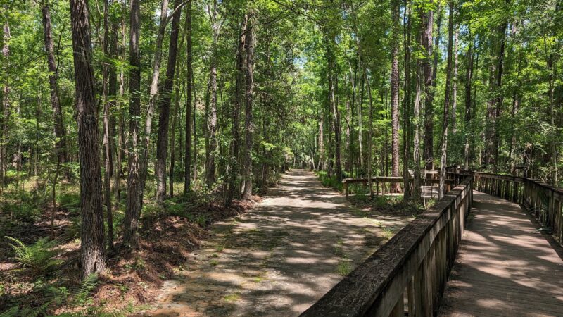 Tillie Fowler Park Loop Trailhead - Jacksonville, FL