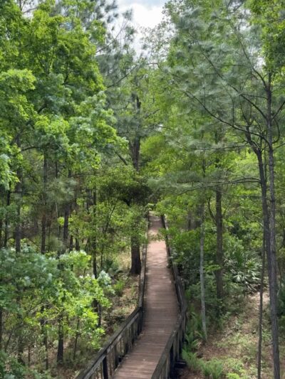 Tillie Fowler Park Loop Trailhead - Jacksonville, FL