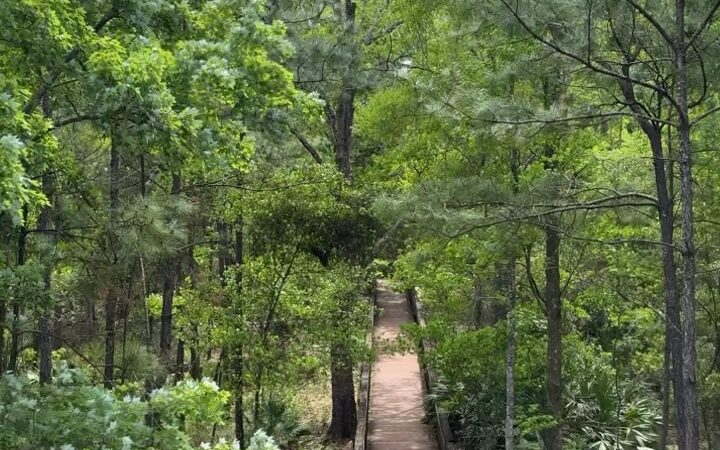 Tillie Fowler Park Loop Trailhead - Jacksonville, FL