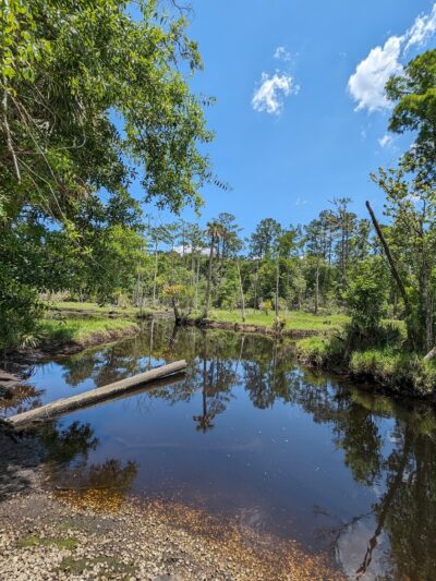 Tillie Fowler Park Loop Trailhead - Jacksonville, FL