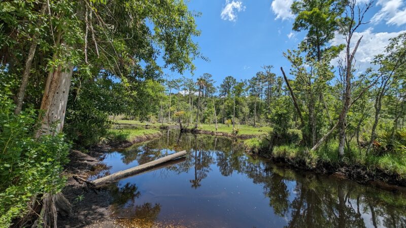 Tillie Fowler Park Loop Trailhead - Jacksonville, FL