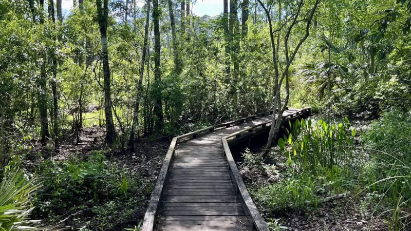Tillie Fowler Park Loop Trailhead - Jacksonville, FL