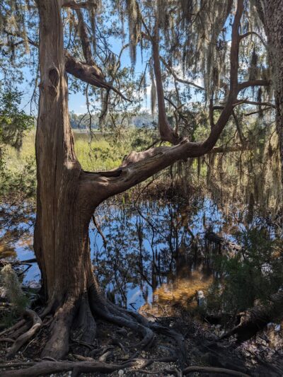 Timucuan Preserve parking for trails - Jacksonville, FL