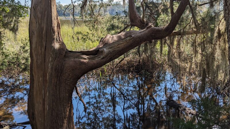 Timucuan Preserve parking for trails - Jacksonville, FL