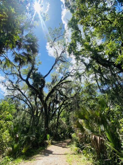 Timucuan Preserve parking for trails - Jacksonville, FL