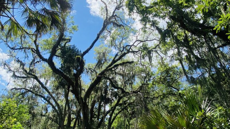 Timucuan Preserve parking for trails - Jacksonville, FL