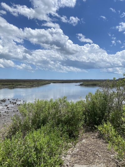 Timucuan Preserve parking for trails - Jacksonville, FL