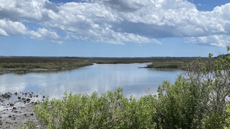Timucuan Preserve parking for trails - Jacksonville, FL