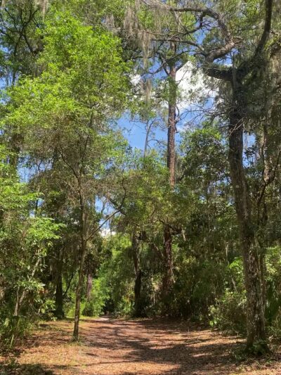 Timucuan Preserve parking for trails - Jacksonville, FL