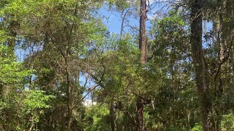 Timucuan Preserve parking for trails - Jacksonville, FL