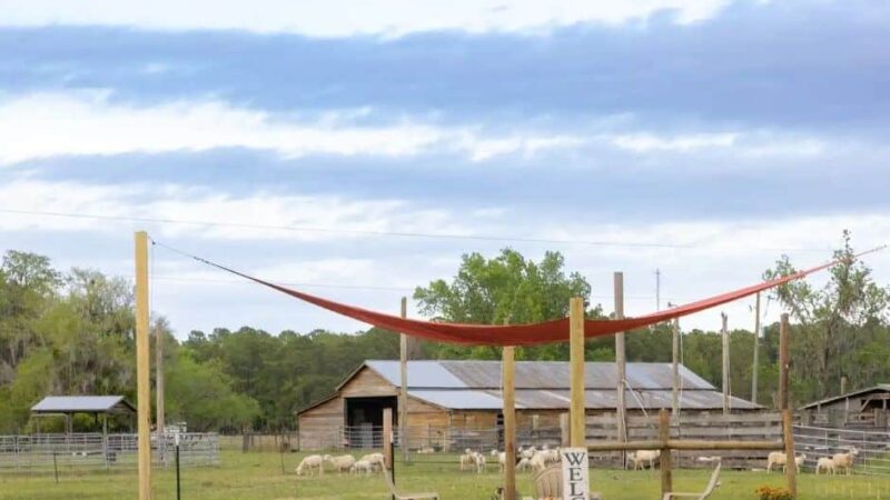 Unleashed - Jacksonville, FL