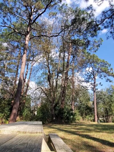 Verona Park - Jacksonville, FL