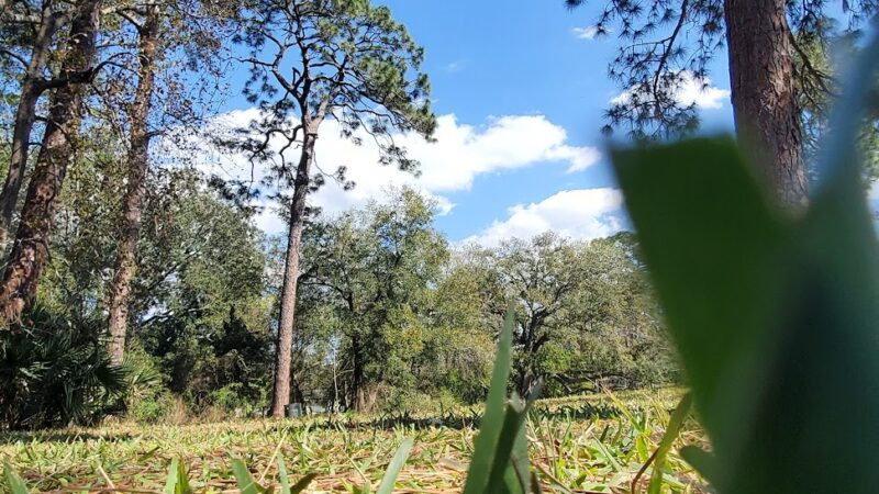 Verona Park - Jacksonville, FL