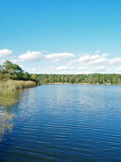 William F Sheffield Regional Park - Jacksonville, FL