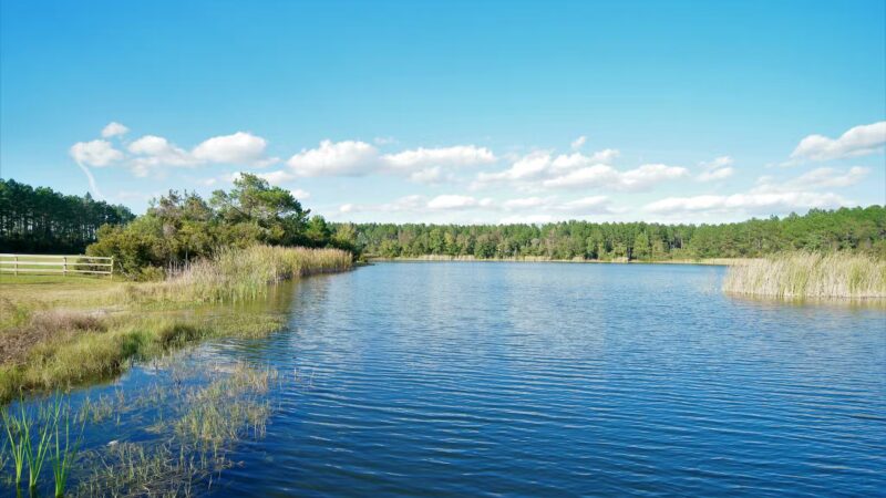 William F Sheffield Regional Park - Jacksonville, FL
