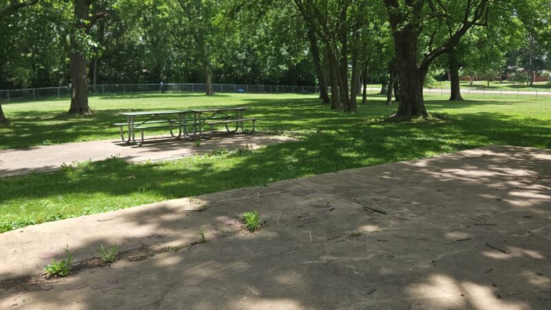 Jacksonville PetSafe Bark Park - Jacksonville, IL