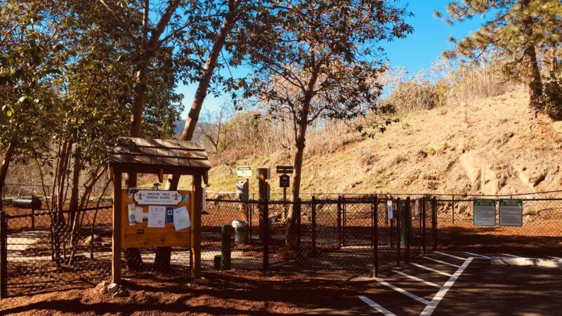 Jacksonville Dog Park - Jacksonville, OR