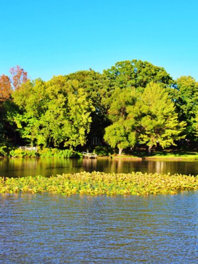 Thompson Park Monroe - Jamesburg, NJ