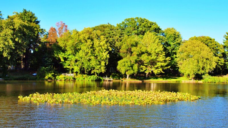 Thompson Park Monroe - Jamesburg, NJ