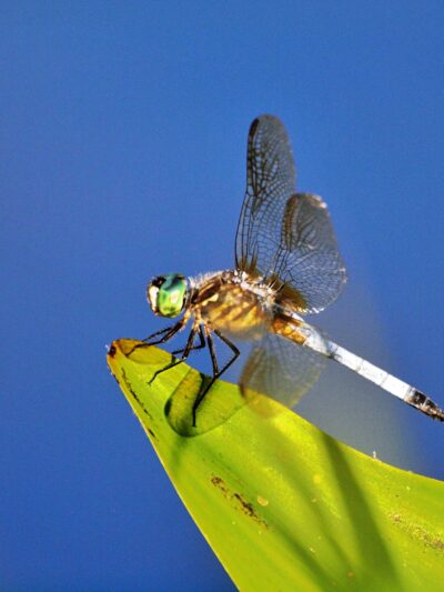 Thompson Park Monroe - Jamesburg, NJ