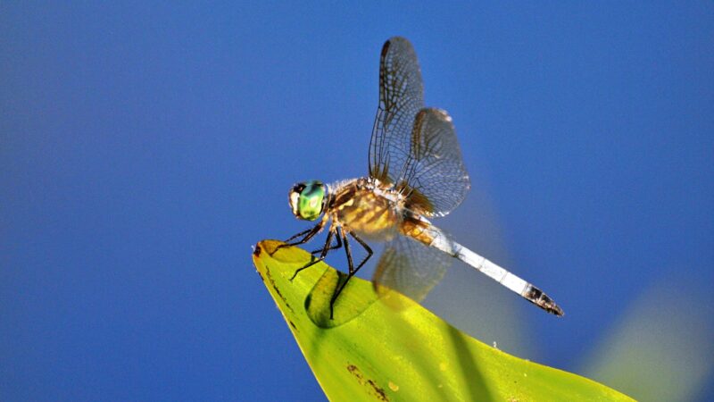 Thompson Park Monroe - Jamesburg, NJ