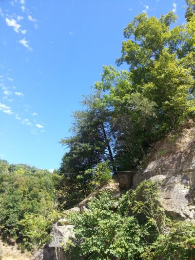 Lake Cumberland State Park Boat Ramp - Jamestown, KY