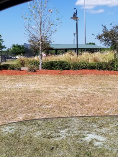 Simmers-Young (2nd entrance Dog Park) - Jan Phyl Village, FL