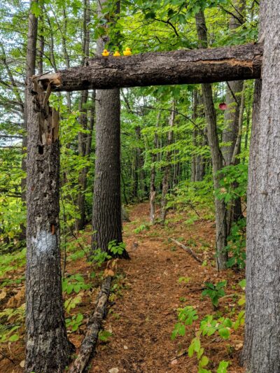 French Falls Recreation Area - Jay, ME