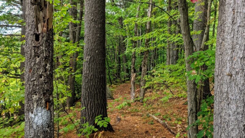 French Falls Recreation Area - Jay, ME