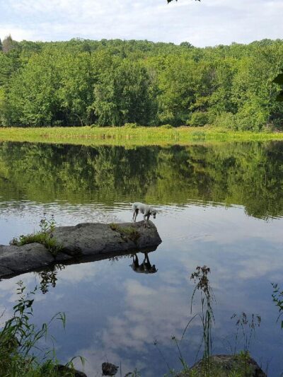 French Falls Recreation Area - Jay, ME