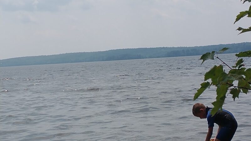 Damariscotta Lake State Park - Jefferson, ME