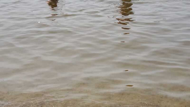 Damariscotta Lake State Park - Jefferson, ME