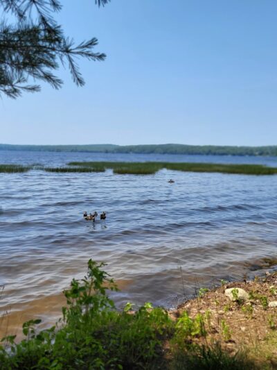 Damariscotta Lake State Park - Jefferson, ME