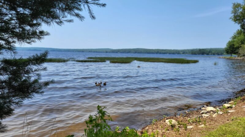 Damariscotta Lake State Park - Jefferson, ME