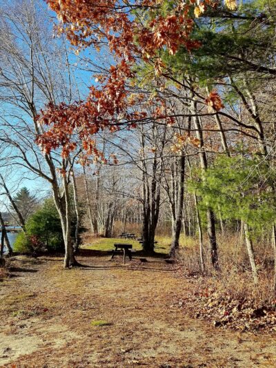 Damariscotta Lake State Park - Jefferson, ME