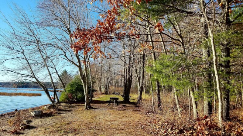 Damariscotta Lake State Park - Jefferson, ME